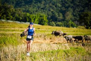 BIB: 1547
                            <button type="button" onclick="openModal(19127617)" class="btn btn-primary btn-sm float-right btn-popup" data-toggle="modal" data-target=".modal-high-quality">
                        <i class="fas fa-shopping-cart"></i> Add to Cart
                    </button>
                                            <button type="button" onclick="isThisMe(19127617, true)" class="btn btn-success btn-sm float-right btn-popup btn-isme hidden" data-toggle="tooltip" data-placement="bottom" title="นี่คือรูปของคุณใช่ไหม คลิกที่นี่เพื่อเอาเข้าอัลบั้ม">
                        <i class="fas fa-plus"></i> Add to album
                    </button>
                    <button type="button" onclick="isThisMe(19127617, false)" class="btn btn-warning btn-sm float-right btn-popup btn-isnotme hidden">
                        <i class="fas fa-ban"></i> Remove from album
                    </button>