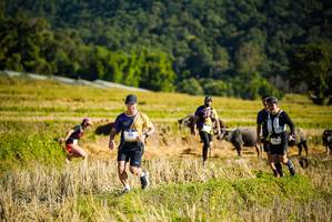 BIB: 1916
                            <button type="button" onclick="openModal(19127887)" class="btn btn-primary btn-sm float-right btn-popup" data-toggle="modal" data-target=".modal-high-quality">
                        <i class="fas fa-shopping-cart"></i> Add to Cart
                    </button>
                                            <button type="button" onclick="isThisMe(19127887, true)" class="btn btn-success btn-sm float-right btn-popup btn-isme hidden" data-toggle="tooltip" data-placement="bottom" title="นี่คือรูปของคุณใช่ไหม คลิกที่นี่เพื่อเอาเข้าอัลบั้ม">
                        <i class="fas fa-plus"></i> Add to album
                    </button>
                    <button type="button" onclick="isThisMe(19127887, false)" class="btn btn-warning btn-sm float-right btn-popup btn-isnotme hidden">
                        <i class="fas fa-ban"></i> Remove from album
                    </button>