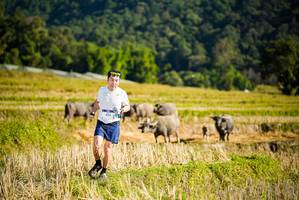 BIB: 
                            <button type="button" onclick="openModal(19127460)" class="btn btn-primary btn-sm float-right btn-popup" data-toggle="modal" data-target=".modal-high-quality">
                        <i class="fas fa-shopping-cart"></i> Add to Cart
                    </button>
                                            <button type="button" onclick="isThisMe(19127460, true)" class="btn btn-success btn-sm float-right btn-popup btn-isme hidden" data-toggle="tooltip" data-placement="bottom" title="นี่คือรูปของคุณใช่ไหม คลิกที่นี่เพื่อเอาเข้าอัลบั้ม">
                        <i class="fas fa-plus"></i> Add to album
                    </button>
                    <button type="button" onclick="isThisMe(19127460, false)" class="btn btn-warning btn-sm float-right btn-popup btn-isnotme hidden">
                        <i class="fas fa-ban"></i> Remove from album
                    </button>