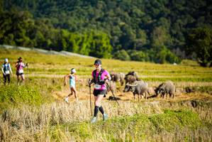 BIB: 
                            <button type="button" onclick="openModal(19128041)" class="btn btn-primary btn-sm float-right btn-popup" data-toggle="modal" data-target=".modal-high-quality">
                        <i class="fas fa-shopping-cart"></i> Add to Cart
                    </button>
                                            <button type="button" onclick="isThisMe(19128041, true)" class="btn btn-success btn-sm float-right btn-popup btn-isme hidden" data-toggle="tooltip" data-placement="bottom" title="นี่คือรูปของคุณใช่ไหม คลิกที่นี่เพื่อเอาเข้าอัลบั้ม">
                        <i class="fas fa-plus"></i> Add to album
                    </button>
                    <button type="button" onclick="isThisMe(19128041, false)" class="btn btn-warning btn-sm float-right btn-popup btn-isnotme hidden">
                        <i class="fas fa-ban"></i> Remove from album
                    </button>