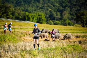 BIB: 
                            <button type="button" onclick="openModal(19128038)" class="btn btn-primary btn-sm float-right btn-popup" data-toggle="modal" data-target=".modal-high-quality">
                        <i class="fas fa-shopping-cart"></i> Add to Cart
                    </button>
                                            <button type="button" onclick="isThisMe(19128038, true)" class="btn btn-success btn-sm float-right btn-popup btn-isme hidden" data-toggle="tooltip" data-placement="bottom" title="นี่คือรูปของคุณใช่ไหม คลิกที่นี่เพื่อเอาเข้าอัลบั้ม">
                        <i class="fas fa-plus"></i> Add to album
                    </button>
                    <button type="button" onclick="isThisMe(19128038, false)" class="btn btn-warning btn-sm float-right btn-popup btn-isnotme hidden">
                        <i class="fas fa-ban"></i> Remove from album
                    </button>