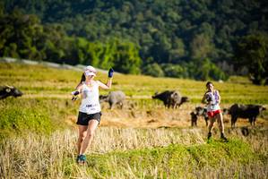 BIB: 106
                            <button type="button" onclick="openModal(19127533)" class="btn btn-primary btn-sm float-right btn-popup" data-toggle="modal" data-target=".modal-high-quality">
                        <i class="fas fa-shopping-cart"></i> Add to Cart
                    </button>
                                            <button type="button" onclick="isThisMe(19127533, true)" class="btn btn-success btn-sm float-right btn-popup btn-isme hidden" data-toggle="tooltip" data-placement="bottom" title="นี่คือรูปของคุณใช่ไหม คลิกที่นี่เพื่อเอาเข้าอัลบั้ม">
                        <i class="fas fa-plus"></i> Add to album
                    </button>
                    <button type="button" onclick="isThisMe(19127533, false)" class="btn btn-warning btn-sm float-right btn-popup btn-isnotme hidden">
                        <i class="fas fa-ban"></i> Remove from album
                    </button>