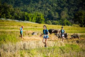 BIB: 
                            <button type="button" onclick="openModal(19127803)" class="btn btn-primary btn-sm float-right btn-popup" data-toggle="modal" data-target=".modal-high-quality">
                        <i class="fas fa-shopping-cart"></i> Add to Cart
                    </button>
                                            <button type="button" onclick="isThisMe(19127803, true)" class="btn btn-success btn-sm float-right btn-popup btn-isme hidden" data-toggle="tooltip" data-placement="bottom" title="นี่คือรูปของคุณใช่ไหม คลิกที่นี่เพื่อเอาเข้าอัลบั้ม">
                        <i class="fas fa-plus"></i> Add to album
                    </button>
                    <button type="button" onclick="isThisMe(19127803, false)" class="btn btn-warning btn-sm float-right btn-popup btn-isnotme hidden">
                        <i class="fas fa-ban"></i> Remove from album
                    </button>