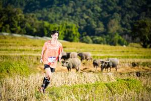 BIB: 1274
                            <button type="button" onclick="openModal(19127447)" class="btn btn-primary btn-sm float-right btn-popup" data-toggle="modal" data-target=".modal-high-quality">
                        <i class="fas fa-shopping-cart"></i> Add to Cart
                    </button>
                                            <button type="button" onclick="isThisMe(19127447, true)" class="btn btn-success btn-sm float-right btn-popup btn-isme hidden" data-toggle="tooltip" data-placement="bottom" title="นี่คือรูปของคุณใช่ไหม คลิกที่นี่เพื่อเอาเข้าอัลบั้ม">
                        <i class="fas fa-plus"></i> Add to album
                    </button>
                    <button type="button" onclick="isThisMe(19127447, false)" class="btn btn-warning btn-sm float-right btn-popup btn-isnotme hidden">
                        <i class="fas fa-ban"></i> Remove from album
                    </button>