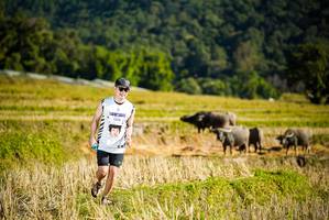 BIB: 1348
                            <button type="button" onclick="openModal(19127750)" class="btn btn-primary btn-sm float-right btn-popup" data-toggle="modal" data-target=".modal-high-quality">
                        <i class="fas fa-shopping-cart"></i> Add to Cart
                    </button>
                                            <button type="button" onclick="isThisMe(19127750, true)" class="btn btn-success btn-sm float-right btn-popup btn-isme hidden" data-toggle="tooltip" data-placement="bottom" title="นี่คือรูปของคุณใช่ไหม คลิกที่นี่เพื่อเอาเข้าอัลบั้ม">
                        <i class="fas fa-plus"></i> Add to album
                    </button>
                    <button type="button" onclick="isThisMe(19127750, false)" class="btn btn-warning btn-sm float-right btn-popup btn-isnotme hidden">
                        <i class="fas fa-ban"></i> Remove from album
                    </button>