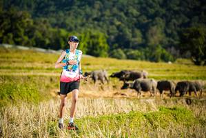 BIB: 
                            <button type="button" onclick="openModal(19127650)" class="btn btn-primary btn-sm float-right btn-popup" data-toggle="modal" data-target=".modal-high-quality">
                        <i class="fas fa-shopping-cart"></i> Add to Cart
                    </button>
                                            <button type="button" onclick="isThisMe(19127650, true)" class="btn btn-success btn-sm float-right btn-popup btn-isme hidden" data-toggle="tooltip" data-placement="bottom" title="นี่คือรูปของคุณใช่ไหม คลิกที่นี่เพื่อเอาเข้าอัลบั้ม">
                        <i class="fas fa-plus"></i> Add to album
                    </button>
                    <button type="button" onclick="isThisMe(19127650, false)" class="btn btn-warning btn-sm float-right btn-popup btn-isnotme hidden">
                        <i class="fas fa-ban"></i> Remove from album
                    </button>