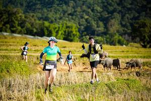 BIB: 
                            <button type="button" onclick="openModal(19127788)" class="btn btn-primary btn-sm float-right btn-popup" data-toggle="modal" data-target=".modal-high-quality">
                        <i class="fas fa-shopping-cart"></i> Add to Cart
                    </button>
                                            <button type="button" onclick="isThisMe(19127788, true)" class="btn btn-success btn-sm float-right btn-popup btn-isme hidden" data-toggle="tooltip" data-placement="bottom" title="นี่คือรูปของคุณใช่ไหม คลิกที่นี่เพื่อเอาเข้าอัลบั้ม">
                        <i class="fas fa-plus"></i> Add to album
                    </button>
                    <button type="button" onclick="isThisMe(19127788, false)" class="btn btn-warning btn-sm float-right btn-popup btn-isnotme hidden">
                        <i class="fas fa-ban"></i> Remove from album
                    </button>