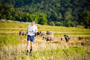 BIB: 
                            <button type="button" onclick="openModal(19127461)" class="btn btn-primary btn-sm float-right btn-popup" data-toggle="modal" data-target=".modal-high-quality">
                        <i class="fas fa-shopping-cart"></i> Add to Cart
                    </button>
                                            <button type="button" onclick="isThisMe(19127461, true)" class="btn btn-success btn-sm float-right btn-popup btn-isme hidden" data-toggle="tooltip" data-placement="bottom" title="นี่คือรูปของคุณใช่ไหม คลิกที่นี่เพื่อเอาเข้าอัลบั้ม">
                        <i class="fas fa-plus"></i> Add to album
                    </button>
                    <button type="button" onclick="isThisMe(19127461, false)" class="btn btn-warning btn-sm float-right btn-popup btn-isnotme hidden">
                        <i class="fas fa-ban"></i> Remove from album
                    </button>