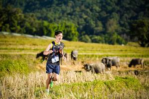 BIB: 
                            <button type="button" onclick="openModal(19127516)" class="btn btn-primary btn-sm float-right btn-popup" data-toggle="modal" data-target=".modal-high-quality">
                        <i class="fas fa-shopping-cart"></i> Add to Cart
                    </button>
                                            <button type="button" onclick="isThisMe(19127516, true)" class="btn btn-success btn-sm float-right btn-popup btn-isme hidden" data-toggle="tooltip" data-placement="bottom" title="นี่คือรูปของคุณใช่ไหม คลิกที่นี่เพื่อเอาเข้าอัลบั้ม">
                        <i class="fas fa-plus"></i> Add to album
                    </button>
                    <button type="button" onclick="isThisMe(19127516, false)" class="btn btn-warning btn-sm float-right btn-popup btn-isnotme hidden">
                        <i class="fas fa-ban"></i> Remove from album
                    </button>