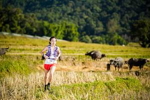 BIB: 
                            <button type="button" onclick="openModal(19127541)" class="btn btn-primary btn-sm float-right btn-popup" data-toggle="modal" data-target=".modal-high-quality">
                        <i class="fas fa-shopping-cart"></i> Add to Cart
                    </button>
                                            <button type="button" onclick="isThisMe(19127541, true)" class="btn btn-success btn-sm float-right btn-popup btn-isme hidden" data-toggle="tooltip" data-placement="bottom" title="นี่คือรูปของคุณใช่ไหม คลิกที่นี่เพื่อเอาเข้าอัลบั้ม">
                        <i class="fas fa-plus"></i> Add to album
                    </button>
                    <button type="button" onclick="isThisMe(19127541, false)" class="btn btn-warning btn-sm float-right btn-popup btn-isnotme hidden">
                        <i class="fas fa-ban"></i> Remove from album
                    </button>