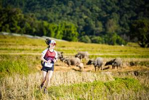 BIB: 1455
                            <button type="button" onclick="openModal(19127936)" class="btn btn-primary btn-sm float-right btn-popup" data-toggle="modal" data-target=".modal-high-quality">
                        <i class="fas fa-shopping-cart"></i> Add to Cart
                    </button>
                                            <button type="button" onclick="isThisMe(19127936, true)" class="btn btn-success btn-sm float-right btn-popup btn-isme hidden" data-toggle="tooltip" data-placement="bottom" title="นี่คือรูปของคุณใช่ไหม คลิกที่นี่เพื่อเอาเข้าอัลบั้ม">
                        <i class="fas fa-plus"></i> Add to album
                    </button>
                    <button type="button" onclick="isThisMe(19127936, false)" class="btn btn-warning btn-sm float-right btn-popup btn-isnotme hidden">
                        <i class="fas fa-ban"></i> Remove from album
                    </button>