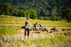 BIB: 
                            <button type="button" onclick="openModal(19127986)" class="btn btn-primary btn-sm float-right btn-popup" data-toggle="modal" data-target=".modal-high-quality">
                        <i class="fas fa-shopping-cart"></i> Add to Cart
                    </button>
                                            <button type="button" onclick="isThisMe(19127986, true)" class="btn btn-success btn-sm float-right btn-popup btn-isme hidden" data-toggle="tooltip" data-placement="bottom" title="นี่คือรูปของคุณใช่ไหม คลิกที่นี่เพื่อเอาเข้าอัลบั้ม">
                        <i class="fas fa-plus"></i> Add to album
                    </button>
                    <button type="button" onclick="isThisMe(19127986, false)" class="btn btn-warning btn-sm float-right btn-popup btn-isnotme hidden">
                        <i class="fas fa-ban"></i> Remove from album
                    </button>