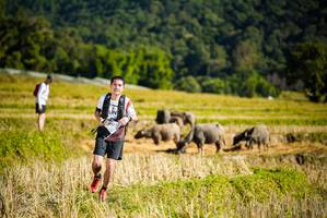 BIB: 
                            <button type="button" onclick="openModal(19127996)" class="btn btn-primary btn-sm float-right btn-popup" data-toggle="modal" data-target=".modal-high-quality">
                        <i class="fas fa-shopping-cart"></i> Add to Cart
                    </button>
                                            <button type="button" onclick="isThisMe(19127996, true)" class="btn btn-success btn-sm float-right btn-popup btn-isme hidden" data-toggle="tooltip" data-placement="bottom" title="นี่คือรูปของคุณใช่ไหม คลิกที่นี่เพื่อเอาเข้าอัลบั้ม">
                        <i class="fas fa-plus"></i> Add to album
                    </button>
                    <button type="button" onclick="isThisMe(19127996, false)" class="btn btn-warning btn-sm float-right btn-popup btn-isnotme hidden">
                        <i class="fas fa-ban"></i> Remove from album
                    </button>