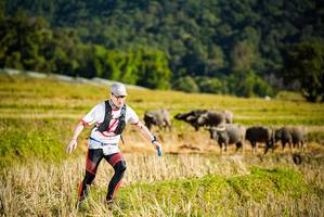 BIB: 127
                            <button type="button" onclick="openModal(19127696)" class="btn btn-primary btn-sm float-right btn-popup" data-toggle="modal" data-target=".modal-high-quality">
                        <i class="fas fa-shopping-cart"></i> Add to Cart
                    </button>
                                            <button type="button" onclick="isThisMe(19127696, true)" class="btn btn-success btn-sm float-right btn-popup btn-isme hidden" data-toggle="tooltip" data-placement="bottom" title="นี่คือรูปของคุณใช่ไหม คลิกที่นี่เพื่อเอาเข้าอัลบั้ม">
                        <i class="fas fa-plus"></i> Add to album
                    </button>
                    <button type="button" onclick="isThisMe(19127696, false)" class="btn btn-warning btn-sm float-right btn-popup btn-isnotme hidden">
                        <i class="fas fa-ban"></i> Remove from album
                    </button>