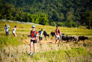 BIB: 
                            <button type="button" onclick="openModal(19128076)" class="btn btn-primary btn-sm float-right btn-popup" data-toggle="modal" data-target=".modal-high-quality">
                        <i class="fas fa-shopping-cart"></i> Add to Cart
                    </button>
                                            <button type="button" onclick="isThisMe(19128076, true)" class="btn btn-success btn-sm float-right btn-popup btn-isme hidden" data-toggle="tooltip" data-placement="bottom" title="นี่คือรูปของคุณใช่ไหม คลิกที่นี่เพื่อเอาเข้าอัลบั้ม">
                        <i class="fas fa-plus"></i> Add to album
                    </button>
                    <button type="button" onclick="isThisMe(19128076, false)" class="btn btn-warning btn-sm float-right btn-popup btn-isnotme hidden">
                        <i class="fas fa-ban"></i> Remove from album
                    </button>