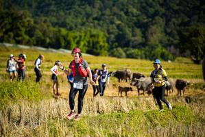 BIB: 
                            <button type="button" onclick="openModal(19128139)" class="btn btn-primary btn-sm float-right btn-popup" data-toggle="modal" data-target=".modal-high-quality">
                        <i class="fas fa-shopping-cart"></i> Add to Cart
                    </button>
                                            <button type="button" onclick="isThisMe(19128139, true)" class="btn btn-success btn-sm float-right btn-popup btn-isme hidden" data-toggle="tooltip" data-placement="bottom" title="นี่คือรูปของคุณใช่ไหม คลิกที่นี่เพื่อเอาเข้าอัลบั้ม">
                        <i class="fas fa-plus"></i> Add to album
                    </button>
                    <button type="button" onclick="isThisMe(19128139, false)" class="btn btn-warning btn-sm float-right btn-popup btn-isnotme hidden">
                        <i class="fas fa-ban"></i> Remove from album
                    </button>