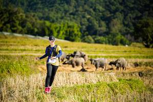 BIB: 157, 11034
                            <button type="button" onclick="openModal(19128035)" class="btn btn-primary btn-sm float-right btn-popup" data-toggle="modal" data-target=".modal-high-quality">
                        <i class="fas fa-shopping-cart"></i> Add to Cart
                    </button>
                                            <button type="button" onclick="isThisMe(19128035, true)" class="btn btn-success btn-sm float-right btn-popup btn-isme hidden" data-toggle="tooltip" data-placement="bottom" title="นี่คือรูปของคุณใช่ไหม คลิกที่นี่เพื่อเอาเข้าอัลบั้ม">
                        <i class="fas fa-plus"></i> Add to album
                    </button>
                    <button type="button" onclick="isThisMe(19128035, false)" class="btn btn-warning btn-sm float-right btn-popup btn-isnotme hidden">
                        <i class="fas fa-ban"></i> Remove from album
                    </button>