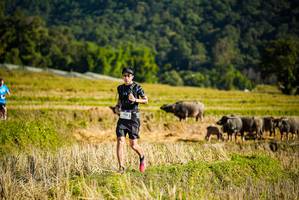 BIB: 
                            <button type="button" onclick="openModal(19127630)" class="btn btn-primary btn-sm float-right btn-popup" data-toggle="modal" data-target=".modal-high-quality">
                        <i class="fas fa-shopping-cart"></i> Add to Cart
                    </button>
                                            <button type="button" onclick="isThisMe(19127630, true)" class="btn btn-success btn-sm float-right btn-popup btn-isme hidden" data-toggle="tooltip" data-placement="bottom" title="นี่คือรูปของคุณใช่ไหม คลิกที่นี่เพื่อเอาเข้าอัลบั้ม">
                        <i class="fas fa-plus"></i> Add to album
                    </button>
                    <button type="button" onclick="isThisMe(19127630, false)" class="btn btn-warning btn-sm float-right btn-popup btn-isnotme hidden">
                        <i class="fas fa-ban"></i> Remove from album
                    </button>