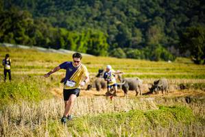 BIB: 1004
                            <button type="button" onclick="openModal(19127966)" class="btn btn-primary btn-sm float-right btn-popup" data-toggle="modal" data-target=".modal-high-quality">
                        <i class="fas fa-shopping-cart"></i> Add to Cart
                    </button>
                                            <button type="button" onclick="isThisMe(19127966, true)" class="btn btn-success btn-sm float-right btn-popup btn-isme hidden" data-toggle="tooltip" data-placement="bottom" title="นี่คือรูปของคุณใช่ไหม คลิกที่นี่เพื่อเอาเข้าอัลบั้ม">
                        <i class="fas fa-plus"></i> Add to album
                    </button>
                    <button type="button" onclick="isThisMe(19127966, false)" class="btn btn-warning btn-sm float-right btn-popup btn-isnotme hidden">
                        <i class="fas fa-ban"></i> Remove from album
                    </button>