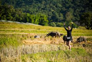 BIB: 
                            <button type="button" onclick="openModal(19127834)" class="btn btn-primary btn-sm float-right btn-popup" data-toggle="modal" data-target=".modal-high-quality">
                        <i class="fas fa-shopping-cart"></i> Add to Cart
                    </button>
                                            <button type="button" onclick="isThisMe(19127834, true)" class="btn btn-success btn-sm float-right btn-popup btn-isme hidden" data-toggle="tooltip" data-placement="bottom" title="นี่คือรูปของคุณใช่ไหม คลิกที่นี่เพื่อเอาเข้าอัลบั้ม">
                        <i class="fas fa-plus"></i> Add to album
                    </button>
                    <button type="button" onclick="isThisMe(19127834, false)" class="btn btn-warning btn-sm float-right btn-popup btn-isnotme hidden">
                        <i class="fas fa-ban"></i> Remove from album
                    </button>