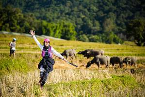 BIB: 
                            <button type="button" onclick="openModal(19127671)" class="btn btn-primary btn-sm float-right btn-popup" data-toggle="modal" data-target=".modal-high-quality">
                        <i class="fas fa-shopping-cart"></i> Add to Cart
                    </button>
                                            <button type="button" onclick="isThisMe(19127671, true)" class="btn btn-success btn-sm float-right btn-popup btn-isme hidden" data-toggle="tooltip" data-placement="bottom" title="นี่คือรูปของคุณใช่ไหม คลิกที่นี่เพื่อเอาเข้าอัลบั้ม">
                        <i class="fas fa-plus"></i> Add to album
                    </button>
                    <button type="button" onclick="isThisMe(19127671, false)" class="btn btn-warning btn-sm float-right btn-popup btn-isnotme hidden">
                        <i class="fas fa-ban"></i> Remove from album
                    </button>