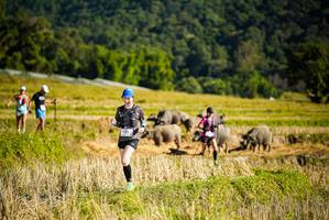 BIB: 1323
                            <button type="button" onclick="openModal(19128040)" class="btn btn-primary btn-sm float-right btn-popup" data-toggle="modal" data-target=".modal-high-quality">
                        <i class="fas fa-shopping-cart"></i> Add to Cart
                    </button>
                                            <button type="button" onclick="isThisMe(19128040, true)" class="btn btn-success btn-sm float-right btn-popup btn-isme hidden" data-toggle="tooltip" data-placement="bottom" title="นี่คือรูปของคุณใช่ไหม คลิกที่นี่เพื่อเอาเข้าอัลบั้ม">
                        <i class="fas fa-plus"></i> Add to album
                    </button>
                    <button type="button" onclick="isThisMe(19128040, false)" class="btn btn-warning btn-sm float-right btn-popup btn-isnotme hidden">
                        <i class="fas fa-ban"></i> Remove from album
                    </button>