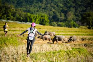 BIB: 1473
                            <button type="button" onclick="openModal(19127958)" class="btn btn-primary btn-sm float-right btn-popup" data-toggle="modal" data-target=".modal-high-quality">
                        <i class="fas fa-shopping-cart"></i> Add to Cart
                    </button>
                                            <button type="button" onclick="isThisMe(19127958, true)" class="btn btn-success btn-sm float-right btn-popup btn-isme hidden" data-toggle="tooltip" data-placement="bottom" title="นี่คือรูปของคุณใช่ไหม คลิกที่นี่เพื่อเอาเข้าอัลบั้ม">
                        <i class="fas fa-plus"></i> Add to album
                    </button>
                    <button type="button" onclick="isThisMe(19127958, false)" class="btn btn-warning btn-sm float-right btn-popup btn-isnotme hidden">
                        <i class="fas fa-ban"></i> Remove from album
                    </button>