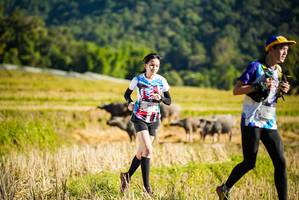 BIB: 
                            <button type="button" onclick="openModal(19127441)" class="btn btn-primary btn-sm float-right btn-popup" data-toggle="modal" data-target=".modal-high-quality">
                        <i class="fas fa-shopping-cart"></i> Add to Cart
                    </button>
                                            <button type="button" onclick="isThisMe(19127441, true)" class="btn btn-success btn-sm float-right btn-popup btn-isme hidden" data-toggle="tooltip" data-placement="bottom" title="นี่คือรูปของคุณใช่ไหม คลิกที่นี่เพื่อเอาเข้าอัลบั้ม">
                        <i class="fas fa-plus"></i> Add to album
                    </button>
                    <button type="button" onclick="isThisMe(19127441, false)" class="btn btn-warning btn-sm float-right btn-popup btn-isnotme hidden">
                        <i class="fas fa-ban"></i> Remove from album
                    </button>