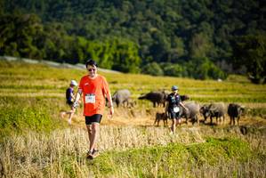 BIB: 
                            <button type="button" onclick="openModal(19128189)" class="btn btn-primary btn-sm float-right btn-popup" data-toggle="modal" data-target=".modal-high-quality">
                        <i class="fas fa-shopping-cart"></i> Add to Cart
                    </button>
                                            <button type="button" onclick="isThisMe(19128189, true)" class="btn btn-success btn-sm float-right btn-popup btn-isme hidden" data-toggle="tooltip" data-placement="bottom" title="นี่คือรูปของคุณใช่ไหม คลิกที่นี่เพื่อเอาเข้าอัลบั้ม">
                        <i class="fas fa-plus"></i> Add to album
                    </button>
                    <button type="button" onclick="isThisMe(19128189, false)" class="btn btn-warning btn-sm float-right btn-popup btn-isnotme hidden">
                        <i class="fas fa-ban"></i> Remove from album
                    </button>