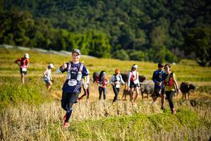 BIB: 
                            <button type="button" onclick="openModal(19128150)" class="btn btn-primary btn-sm float-right btn-popup" data-toggle="modal" data-target=".modal-high-quality">
                        <i class="fas fa-shopping-cart"></i> Add to Cart
                    </button>
                                            <button type="button" onclick="isThisMe(19128150, true)" class="btn btn-success btn-sm float-right btn-popup btn-isme hidden" data-toggle="tooltip" data-placement="bottom" title="นี่คือรูปของคุณใช่ไหม คลิกที่นี่เพื่อเอาเข้าอัลบั้ม">
                        <i class="fas fa-plus"></i> Add to album
                    </button>
                    <button type="button" onclick="isThisMe(19128150, false)" class="btn btn-warning btn-sm float-right btn-popup btn-isnotme hidden">
                        <i class="fas fa-ban"></i> Remove from album
                    </button>