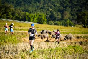 BIB: 
                            <button type="button" onclick="openModal(19128042)" class="btn btn-primary btn-sm float-right btn-popup" data-toggle="modal" data-target=".modal-high-quality">
                        <i class="fas fa-shopping-cart"></i> Add to Cart
                    </button>
                                            <button type="button" onclick="isThisMe(19128042, true)" class="btn btn-success btn-sm float-right btn-popup btn-isme hidden" data-toggle="tooltip" data-placement="bottom" title="นี่คือรูปของคุณใช่ไหม คลิกที่นี่เพื่อเอาเข้าอัลบั้ม">
                        <i class="fas fa-plus"></i> Add to album
                    </button>
                    <button type="button" onclick="isThisMe(19128042, false)" class="btn btn-warning btn-sm float-right btn-popup btn-isnotme hidden">
                        <i class="fas fa-ban"></i> Remove from album
                    </button>