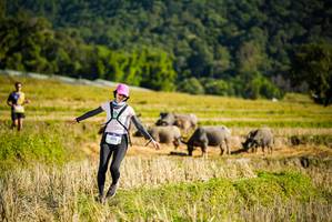 BIB: 1473
                            <button type="button" onclick="openModal(19127959)" class="btn btn-primary btn-sm float-right btn-popup" data-toggle="modal" data-target=".modal-high-quality">
                        <i class="fas fa-shopping-cart"></i> Add to Cart
                    </button>
                                            <button type="button" onclick="isThisMe(19127959, true)" class="btn btn-success btn-sm float-right btn-popup btn-isme hidden" data-toggle="tooltip" data-placement="bottom" title="นี่คือรูปของคุณใช่ไหม คลิกที่นี่เพื่อเอาเข้าอัลบั้ม">
                        <i class="fas fa-plus"></i> Add to album
                    </button>
                    <button type="button" onclick="isThisMe(19127959, false)" class="btn btn-warning btn-sm float-right btn-popup btn-isnotme hidden">
                        <i class="fas fa-ban"></i> Remove from album
                    </button>