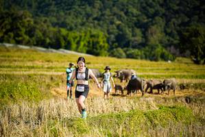 BIB: 
                            <button type="button" onclick="openModal(19128289)" class="btn btn-primary btn-sm float-right btn-popup" data-toggle="modal" data-target=".modal-high-quality">
                        <i class="fas fa-shopping-cart"></i> Add to Cart
                    </button>
                                            <button type="button" onclick="isThisMe(19128289, true)" class="btn btn-success btn-sm float-right btn-popup btn-isme hidden" data-toggle="tooltip" data-placement="bottom" title="นี่คือรูปของคุณใช่ไหม คลิกที่นี่เพื่อเอาเข้าอัลบั้ม">
                        <i class="fas fa-plus"></i> Add to album
                    </button>
                    <button type="button" onclick="isThisMe(19128289, false)" class="btn btn-warning btn-sm float-right btn-popup btn-isnotme hidden">
                        <i class="fas fa-ban"></i> Remove from album
                    </button>