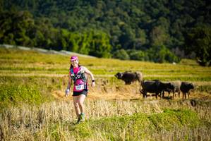 BIB: 1400
                            <button type="button" onclick="openModal(19128281)" class="btn btn-primary btn-sm float-right btn-popup" data-toggle="modal" data-target=".modal-high-quality">
                        <i class="fas fa-shopping-cart"></i> Add to Cart
                    </button>
                                            <button type="button" onclick="isThisMe(19128281, true)" class="btn btn-success btn-sm float-right btn-popup btn-isme hidden" data-toggle="tooltip" data-placement="bottom" title="นี่คือรูปของคุณใช่ไหม คลิกที่นี่เพื่อเอาเข้าอัลบั้ม">
                        <i class="fas fa-plus"></i> Add to album
                    </button>
                    <button type="button" onclick="isThisMe(19128281, false)" class="btn btn-warning btn-sm float-right btn-popup btn-isnotme hidden">
                        <i class="fas fa-ban"></i> Remove from album
                    </button>