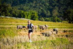 BIB: 
                            <button type="button" onclick="openModal(19127493)" class="btn btn-primary btn-sm float-right btn-popup" data-toggle="modal" data-target=".modal-high-quality">
                        <i class="fas fa-shopping-cart"></i> Add to Cart
                    </button>
                                            <button type="button" onclick="isThisMe(19127493, true)" class="btn btn-success btn-sm float-right btn-popup btn-isme hidden" data-toggle="tooltip" data-placement="bottom" title="นี่คือรูปของคุณใช่ไหม คลิกที่นี่เพื่อเอาเข้าอัลบั้ม">
                        <i class="fas fa-plus"></i> Add to album
                    </button>
                    <button type="button" onclick="isThisMe(19127493, false)" class="btn btn-warning btn-sm float-right btn-popup btn-isnotme hidden">
                        <i class="fas fa-ban"></i> Remove from album
                    </button>