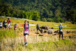 BIB: 1342
                            <button type="button" onclick="openModal(19128063)" class="btn btn-primary btn-sm float-right btn-popup" data-toggle="modal" data-target=".modal-high-quality">
                        <i class="fas fa-shopping-cart"></i> Add to Cart
                    </button>
                                            <button type="button" onclick="isThisMe(19128063, true)" class="btn btn-success btn-sm float-right btn-popup btn-isme hidden" data-toggle="tooltip" data-placement="bottom" title="นี่คือรูปของคุณใช่ไหม คลิกที่นี่เพื่อเอาเข้าอัลบั้ม">
                        <i class="fas fa-plus"></i> Add to album
                    </button>
                    <button type="button" onclick="isThisMe(19128063, false)" class="btn btn-warning btn-sm float-right btn-popup btn-isnotme hidden">
                        <i class="fas fa-ban"></i> Remove from album
                    </button>