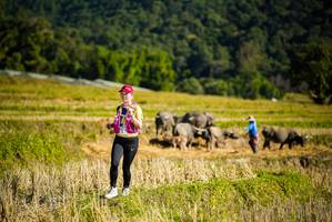 BIB: 
                            <button type="button" onclick="openModal(19128307)" class="btn btn-primary btn-sm float-right btn-popup" data-toggle="modal" data-target=".modal-high-quality">
                        <i class="fas fa-shopping-cart"></i> Add to Cart
                    </button>
                                            <button type="button" onclick="isThisMe(19128307, true)" class="btn btn-success btn-sm float-right btn-popup btn-isme hidden" data-toggle="tooltip" data-placement="bottom" title="นี่คือรูปของคุณใช่ไหม คลิกที่นี่เพื่อเอาเข้าอัลบั้ม">
                        <i class="fas fa-plus"></i> Add to album
                    </button>
                    <button type="button" onclick="isThisMe(19128307, false)" class="btn btn-warning btn-sm float-right btn-popup btn-isnotme hidden">
                        <i class="fas fa-ban"></i> Remove from album
                    </button>