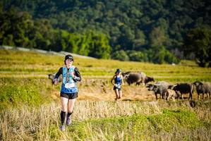 BIB: 
                            <button type="button" onclick="openModal(19127606)" class="btn btn-primary btn-sm float-right btn-popup" data-toggle="modal" data-target=".modal-high-quality">
                        <i class="fas fa-shopping-cart"></i> Add to Cart
                    </button>
                                            <button type="button" onclick="isThisMe(19127606, true)" class="btn btn-success btn-sm float-right btn-popup btn-isme hidden" data-toggle="tooltip" data-placement="bottom" title="นี่คือรูปของคุณใช่ไหม คลิกที่นี่เพื่อเอาเข้าอัลบั้ม">
                        <i class="fas fa-plus"></i> Add to album
                    </button>
                    <button type="button" onclick="isThisMe(19127606, false)" class="btn btn-warning btn-sm float-right btn-popup btn-isnotme hidden">
                        <i class="fas fa-ban"></i> Remove from album
                    </button>