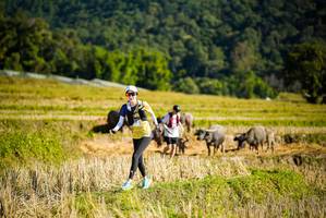 BIB: 
                            <button type="button" onclick="openModal(19127915)" class="btn btn-primary btn-sm float-right btn-popup" data-toggle="modal" data-target=".modal-high-quality">
                        <i class="fas fa-shopping-cart"></i> Add to Cart
                    </button>
                                            <button type="button" onclick="isThisMe(19127915, true)" class="btn btn-success btn-sm float-right btn-popup btn-isme hidden" data-toggle="tooltip" data-placement="bottom" title="นี่คือรูปของคุณใช่ไหม คลิกที่นี่เพื่อเอาเข้าอัลบั้ม">
                        <i class="fas fa-plus"></i> Add to album
                    </button>
                    <button type="button" onclick="isThisMe(19127915, false)" class="btn btn-warning btn-sm float-right btn-popup btn-isnotme hidden">
                        <i class="fas fa-ban"></i> Remove from album
                    </button>