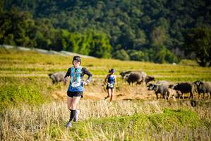 BIB: 
                            <button type="button" onclick="openModal(19127601)" class="btn btn-primary btn-sm float-right btn-popup" data-toggle="modal" data-target=".modal-high-quality">
                        <i class="fas fa-shopping-cart"></i> Add to Cart
                    </button>
                                            <button type="button" onclick="isThisMe(19127601, true)" class="btn btn-success btn-sm float-right btn-popup btn-isme hidden" data-toggle="tooltip" data-placement="bottom" title="นี่คือรูปของคุณใช่ไหม คลิกที่นี่เพื่อเอาเข้าอัลบั้ม">
                        <i class="fas fa-plus"></i> Add to album
                    </button>
                    <button type="button" onclick="isThisMe(19127601, false)" class="btn btn-warning btn-sm float-right btn-popup btn-isnotme hidden">
                        <i class="fas fa-ban"></i> Remove from album
                    </button>