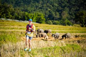 BIB: 
                            <button type="button" onclick="openModal(19127940)" class="btn btn-primary btn-sm float-right btn-popup" data-toggle="modal" data-target=".modal-high-quality">
                        <i class="fas fa-shopping-cart"></i> Add to Cart
                    </button>
                                            <button type="button" onclick="isThisMe(19127940, true)" class="btn btn-success btn-sm float-right btn-popup btn-isme hidden" data-toggle="tooltip" data-placement="bottom" title="นี่คือรูปของคุณใช่ไหม คลิกที่นี่เพื่อเอาเข้าอัลบั้ม">
                        <i class="fas fa-plus"></i> Add to album
                    </button>
                    <button type="button" onclick="isThisMe(19127940, false)" class="btn btn-warning btn-sm float-right btn-popup btn-isnotme hidden">
                        <i class="fas fa-ban"></i> Remove from album
                    </button>