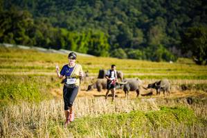 BIB: 1487
                            <button type="button" onclick="openModal(19127989)" class="btn btn-primary btn-sm float-right btn-popup" data-toggle="modal" data-target=".modal-high-quality">
                        <i class="fas fa-shopping-cart"></i> Add to Cart
                    </button>
                                            <button type="button" onclick="isThisMe(19127989, true)" class="btn btn-success btn-sm float-right btn-popup btn-isme hidden" data-toggle="tooltip" data-placement="bottom" title="นี่คือรูปของคุณใช่ไหม คลิกที่นี่เพื่อเอาเข้าอัลบั้ม">
                        <i class="fas fa-plus"></i> Add to album
                    </button>
                    <button type="button" onclick="isThisMe(19127989, false)" class="btn btn-warning btn-sm float-right btn-popup btn-isnotme hidden">
                        <i class="fas fa-ban"></i> Remove from album
                    </button>