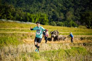 BIB: 
                            <button type="button" onclick="openModal(19128302)" class="btn btn-primary btn-sm float-right btn-popup" data-toggle="modal" data-target=".modal-high-quality">
                        <i class="fas fa-shopping-cart"></i> Add to Cart
                    </button>
                                            <button type="button" onclick="isThisMe(19128302, true)" class="btn btn-success btn-sm float-right btn-popup btn-isme hidden" data-toggle="tooltip" data-placement="bottom" title="นี่คือรูปของคุณใช่ไหม คลิกที่นี่เพื่อเอาเข้าอัลบั้ม">
                        <i class="fas fa-plus"></i> Add to album
                    </button>
                    <button type="button" onclick="isThisMe(19128302, false)" class="btn btn-warning btn-sm float-right btn-popup btn-isnotme hidden">
                        <i class="fas fa-ban"></i> Remove from album
                    </button>