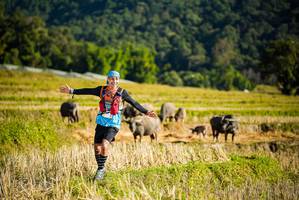 BIB: 1054
                            <button type="button" onclick="openModal(19127453)" class="btn btn-primary btn-sm float-right btn-popup" data-toggle="modal" data-target=".modal-high-quality">
                        <i class="fas fa-shopping-cart"></i> Add to Cart
                    </button>
                                            <button type="button" onclick="isThisMe(19127453, true)" class="btn btn-success btn-sm float-right btn-popup btn-isme hidden" data-toggle="tooltip" data-placement="bottom" title="นี่คือรูปของคุณใช่ไหม คลิกที่นี่เพื่อเอาเข้าอัลบั้ม">
                        <i class="fas fa-plus"></i> Add to album
                    </button>
                    <button type="button" onclick="isThisMe(19127453, false)" class="btn btn-warning btn-sm float-right btn-popup btn-isnotme hidden">
                        <i class="fas fa-ban"></i> Remove from album
                    </button>