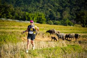 BIB: 1014
                            <button type="button" onclick="openModal(19128237)" class="btn btn-primary btn-sm float-right btn-popup" data-toggle="modal" data-target=".modal-high-quality">
                        <i class="fas fa-shopping-cart"></i> Add to Cart
                    </button>
                                            <button type="button" onclick="isThisMe(19128237, true)" class="btn btn-success btn-sm float-right btn-popup btn-isme hidden" data-toggle="tooltip" data-placement="bottom" title="นี่คือรูปของคุณใช่ไหม คลิกที่นี่เพื่อเอาเข้าอัลบั้ม">
                        <i class="fas fa-plus"></i> Add to album
                    </button>
                    <button type="button" onclick="isThisMe(19128237, false)" class="btn btn-warning btn-sm float-right btn-popup btn-isnotme hidden">
                        <i class="fas fa-ban"></i> Remove from album
                    </button>