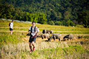 BIB: 
                            <button type="button" onclick="openModal(19127992)" class="btn btn-primary btn-sm float-right btn-popup" data-toggle="modal" data-target=".modal-high-quality">
                        <i class="fas fa-shopping-cart"></i> Add to Cart
                    </button>
                                            <button type="button" onclick="isThisMe(19127992, true)" class="btn btn-success btn-sm float-right btn-popup btn-isme hidden" data-toggle="tooltip" data-placement="bottom" title="นี่คือรูปของคุณใช่ไหม คลิกที่นี่เพื่อเอาเข้าอัลบั้ม">
                        <i class="fas fa-plus"></i> Add to album
                    </button>
                    <button type="button" onclick="isThisMe(19127992, false)" class="btn btn-warning btn-sm float-right btn-popup btn-isnotme hidden">
                        <i class="fas fa-ban"></i> Remove from album
                    </button>