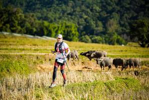 BIB: 
                            <button type="button" onclick="openModal(19127688)" class="btn btn-primary btn-sm float-right btn-popup" data-toggle="modal" data-target=".modal-high-quality">
                        <i class="fas fa-shopping-cart"></i> Add to Cart
                    </button>
                                            <button type="button" onclick="isThisMe(19127688, true)" class="btn btn-success btn-sm float-right btn-popup btn-isme hidden" data-toggle="tooltip" data-placement="bottom" title="นี่คือรูปของคุณใช่ไหม คลิกที่นี่เพื่อเอาเข้าอัลบั้ม">
                        <i class="fas fa-plus"></i> Add to album
                    </button>
                    <button type="button" onclick="isThisMe(19127688, false)" class="btn btn-warning btn-sm float-right btn-popup btn-isnotme hidden">
                        <i class="fas fa-ban"></i> Remove from album
                    </button>