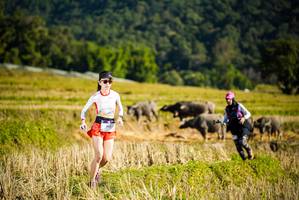 BIB: 913, 
                            <button type="button" onclick="openModal(19127664)" class="btn btn-primary btn-sm float-right btn-popup" data-toggle="modal" data-target=".modal-high-quality">
                        <i class="fas fa-shopping-cart"></i> Add to Cart
                    </button>
                                            <button type="button" onclick="isThisMe(19127664, true)" class="btn btn-success btn-sm float-right btn-popup btn-isme hidden" data-toggle="tooltip" data-placement="bottom" title="นี่คือรูปของคุณใช่ไหม คลิกที่นี่เพื่อเอาเข้าอัลบั้ม">
                        <i class="fas fa-plus"></i> Add to album
                    </button>
                    <button type="button" onclick="isThisMe(19127664, false)" class="btn btn-warning btn-sm float-right btn-popup btn-isnotme hidden">
                        <i class="fas fa-ban"></i> Remove from album
                    </button>