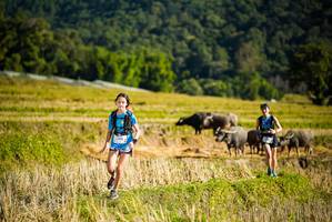 BIB: 1543
                            <button type="button" onclick="openModal(19127807)" class="btn btn-primary btn-sm float-right btn-popup" data-toggle="modal" data-target=".modal-high-quality">
                        <i class="fas fa-shopping-cart"></i> Add to Cart
                    </button>
                                            <button type="button" onclick="isThisMe(19127807, true)" class="btn btn-success btn-sm float-right btn-popup btn-isme hidden" data-toggle="tooltip" data-placement="bottom" title="นี่คือรูปของคุณใช่ไหม คลิกที่นี่เพื่อเอาเข้าอัลบั้ม">
                        <i class="fas fa-plus"></i> Add to album
                    </button>
                    <button type="button" onclick="isThisMe(19127807, false)" class="btn btn-warning btn-sm float-right btn-popup btn-isnotme hidden">
                        <i class="fas fa-ban"></i> Remove from album
                    </button>