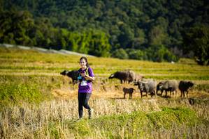 BIB: 
                            <button type="button" onclick="openModal(19128220)" class="btn btn-primary btn-sm float-right btn-popup" data-toggle="modal" data-target=".modal-high-quality">
                        <i class="fas fa-shopping-cart"></i> Add to Cart
                    </button>
                                            <button type="button" onclick="isThisMe(19128220, true)" class="btn btn-success btn-sm float-right btn-popup btn-isme hidden" data-toggle="tooltip" data-placement="bottom" title="นี่คือรูปของคุณใช่ไหม คลิกที่นี่เพื่อเอาเข้าอัลบั้ม">
                        <i class="fas fa-plus"></i> Add to album
                    </button>
                    <button type="button" onclick="isThisMe(19128220, false)" class="btn btn-warning btn-sm float-right btn-popup btn-isnotme hidden">
                        <i class="fas fa-ban"></i> Remove from album
                    </button>